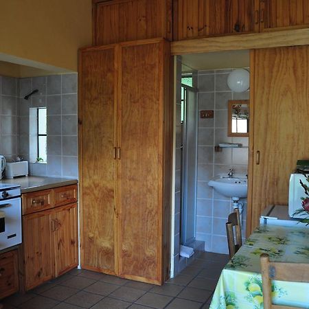 Kierie Kwaak Self Catering Villa Stellenbosch Bagian luar foto