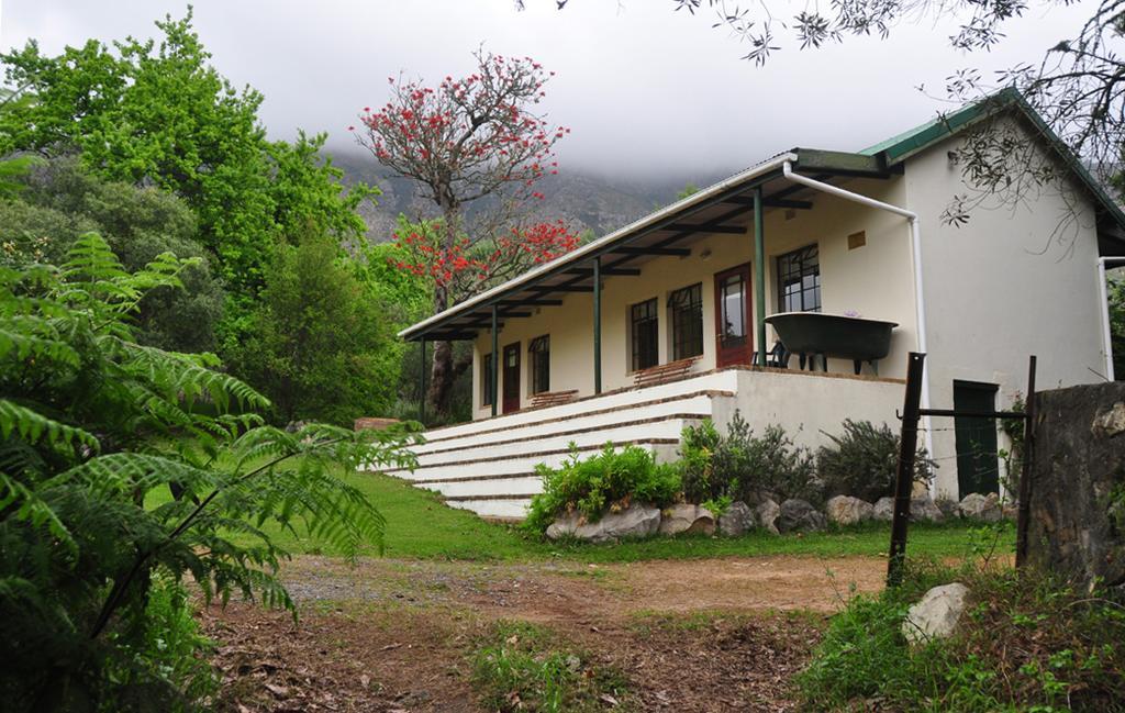 Kierie Kwaak Self Catering Villa Stellenbosch Bagian luar foto