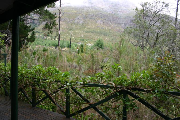 Kierie Kwaak Self Catering Villa Stellenbosch Bagian luar foto